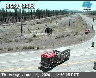 Fire truck and personnel on scene at a roadside incident.
