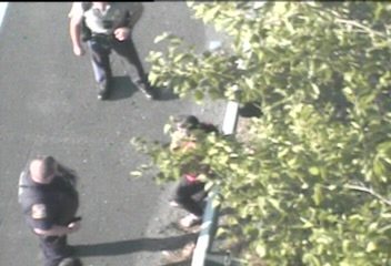 Two police officers and a person on the ground near a tree