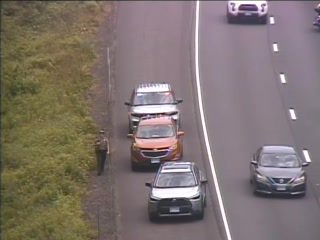 Police officer standing by the road next to stopped vehicles.