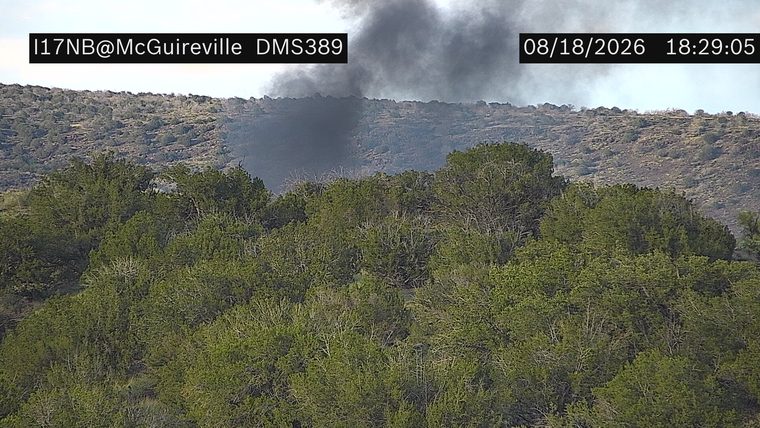 Smoke plume rising from the hillside behind the trees