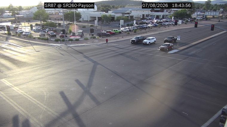 Person in the roadway