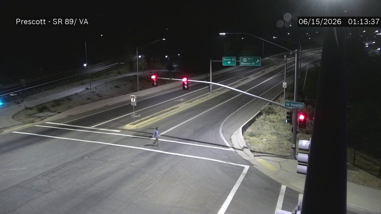 Pedestrian in crosswalk