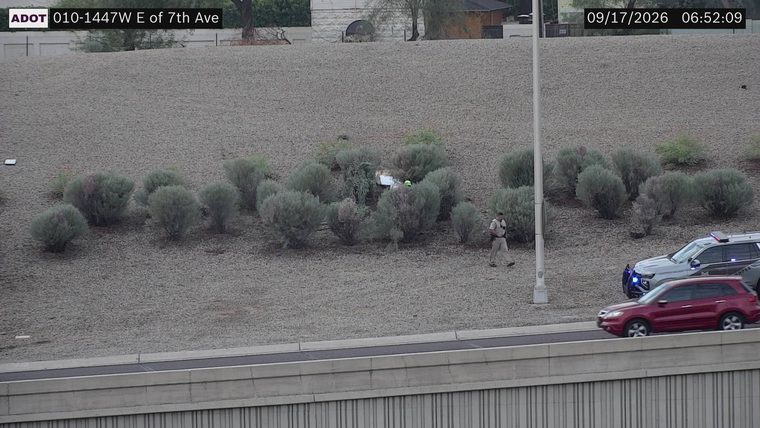 Police officer walking near bushes, police car with lights on the shoulder