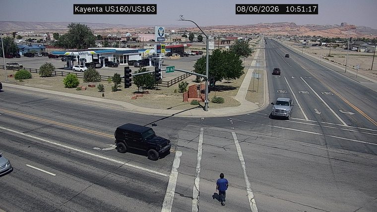 Person walking in the crosswalk