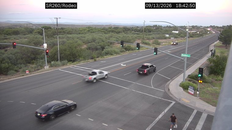 Pedestrian on the crosswalk
