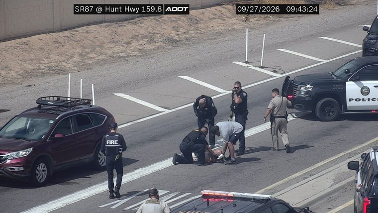 Police officers and a person in a 'FIRE' vest attending to a person on the roadway