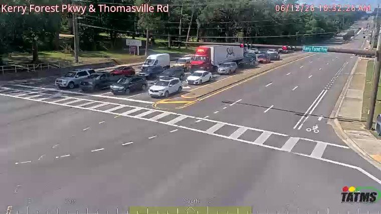 Large tree fallen across roadway, blocking traffic.