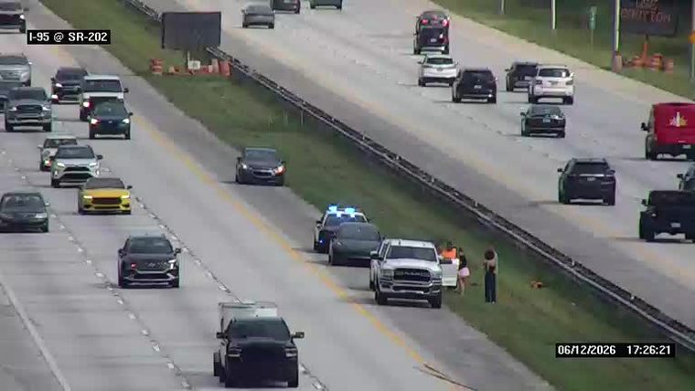 Police car and people on the shoulder of the highway.