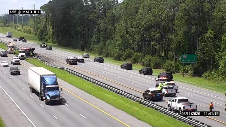 Multiple police cars and emergency personnel at a roadside incident.