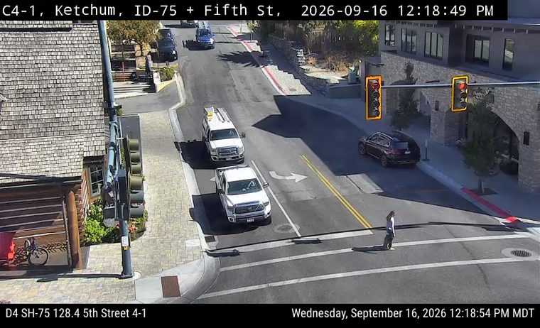 Pedestrian in the crosswalk