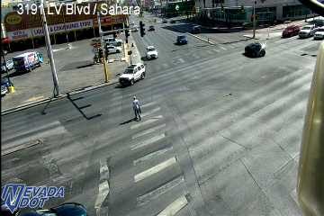 Pedestrian in crosswalk