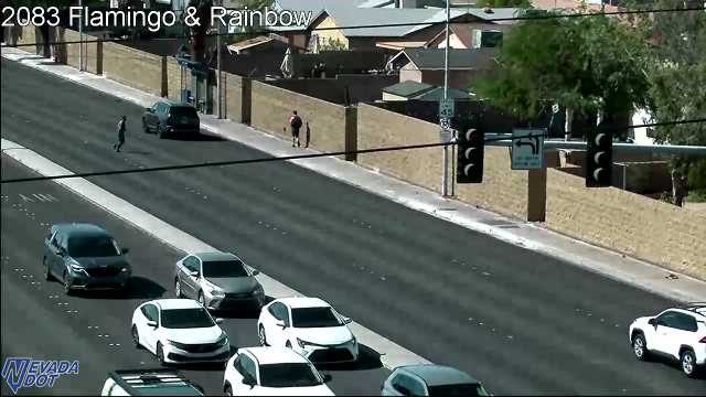 Pedestrian in crosswalk