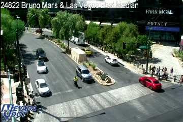 Person in the roadway