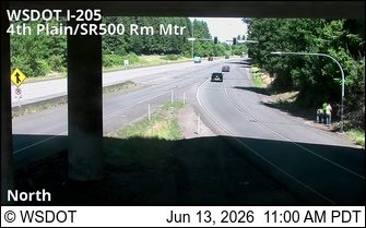 Two responders are visible on the shoulder of the road near a traffic light.