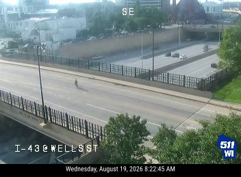 Person on the roadway