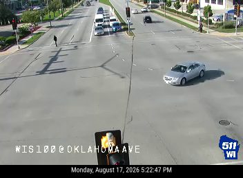 Pedestrian in the crosswalk