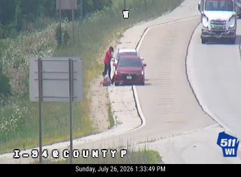 Person and a dog on the side of the road near a red car