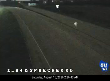 Deer on the right shoulder